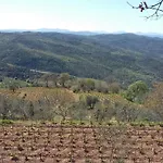Tatil Evi Podere Soccorso Casa Vigneto
