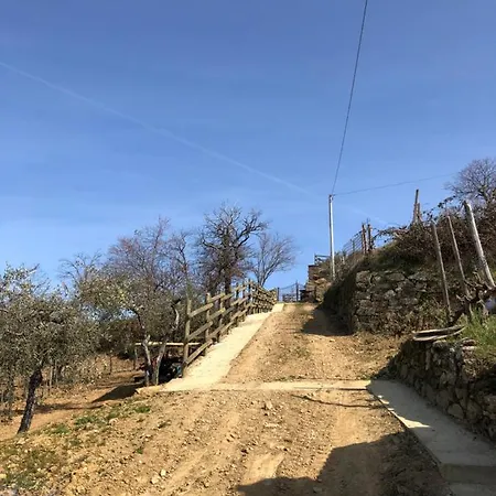 Podere Soccorso Casa Vigneto Montalcino