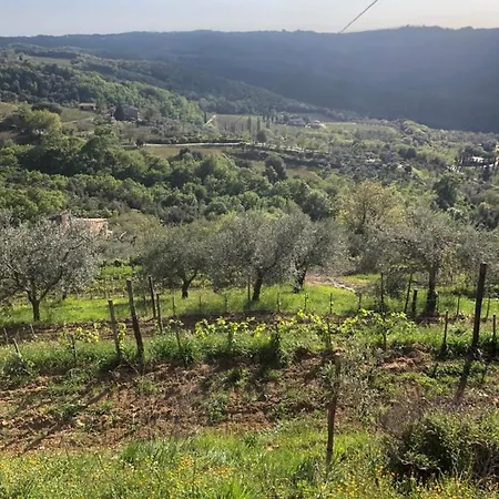Podere Soccorso Casa Vigneto 펜션 *