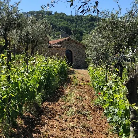 Podere Soccorso Casa Vigneto 펜션 *